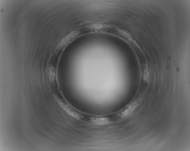 X0000078860476200611131207