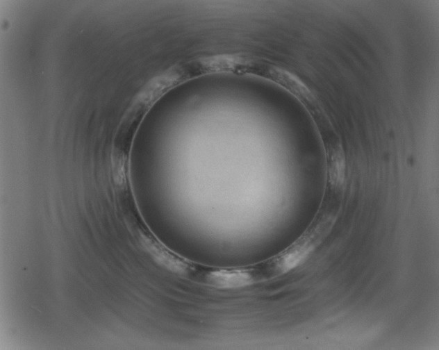 X0000078860477200611131207