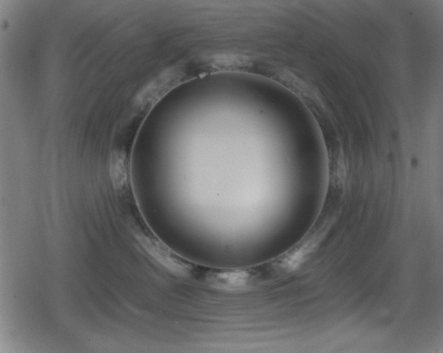 X0000078860478200611131207