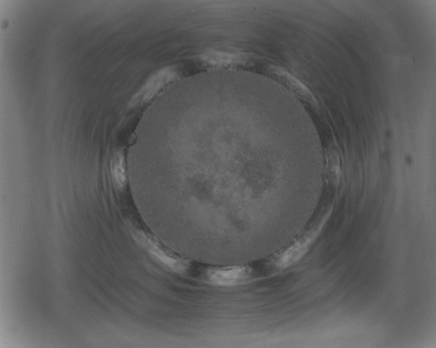 X0000078860479200611131207