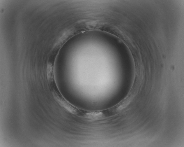 X0000078860480200611131207