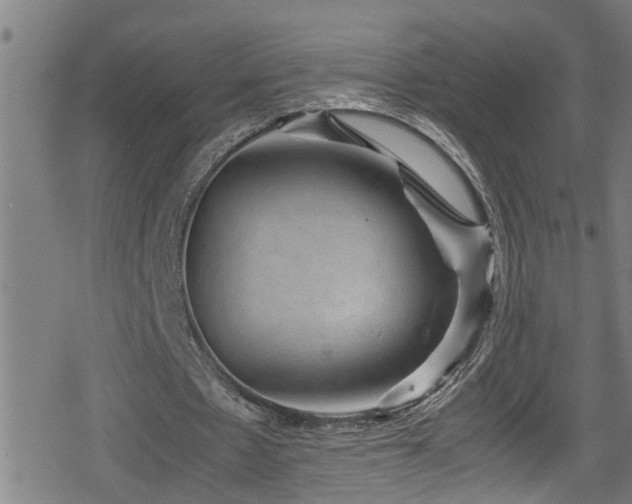 X0000078860481200611131207