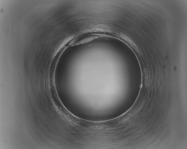 X0000078860482200611131207