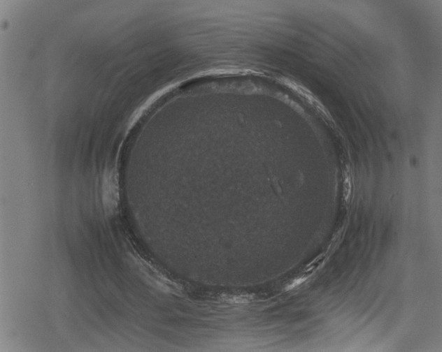 X0000078860484200611131207