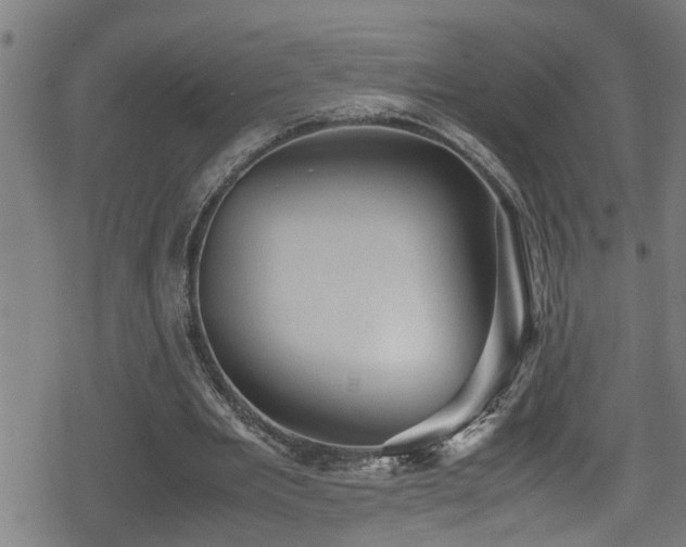 X0000078860485200611131207