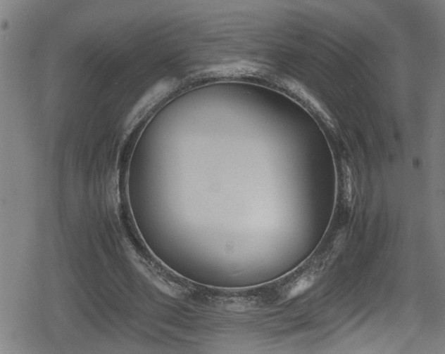 X0000078860486200611131207