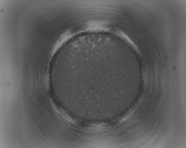 X0000078860488200611131207