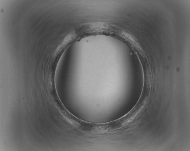 X0000078860489200611131207