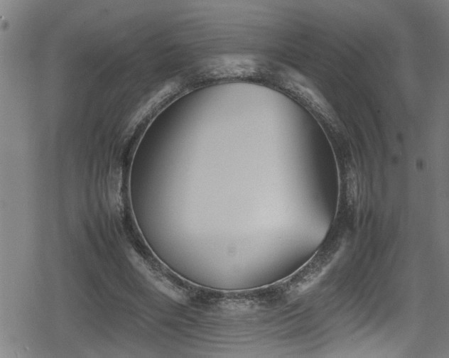 X0000078860490200611131207