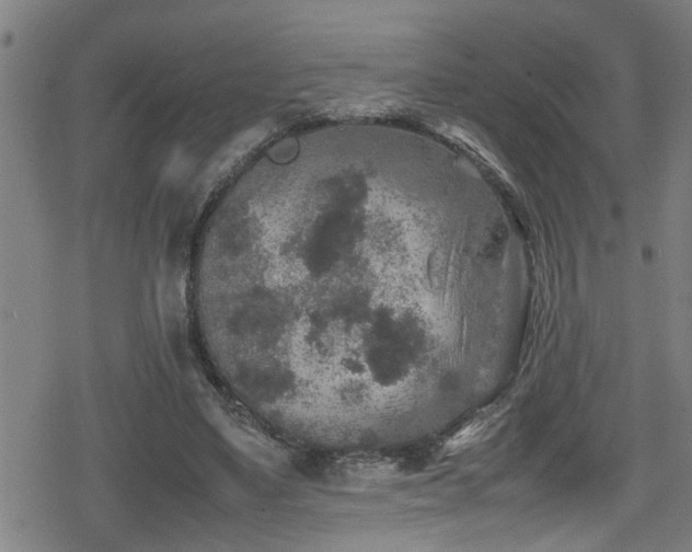 X0000078860491200611131207