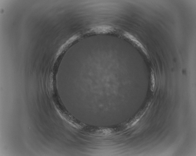 X0000078860492200611131206