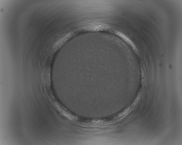 X0000078860493200611131206