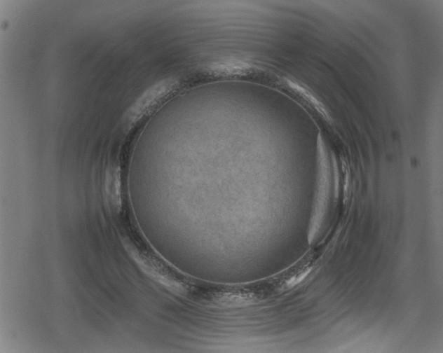 X0000078860494200611131206