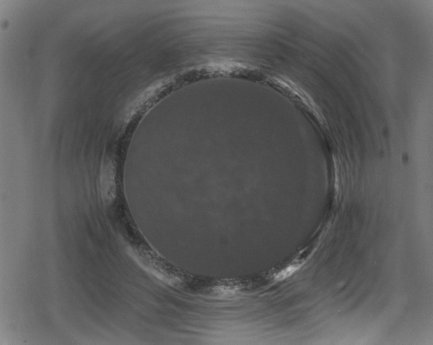 X0000078860496200611131206