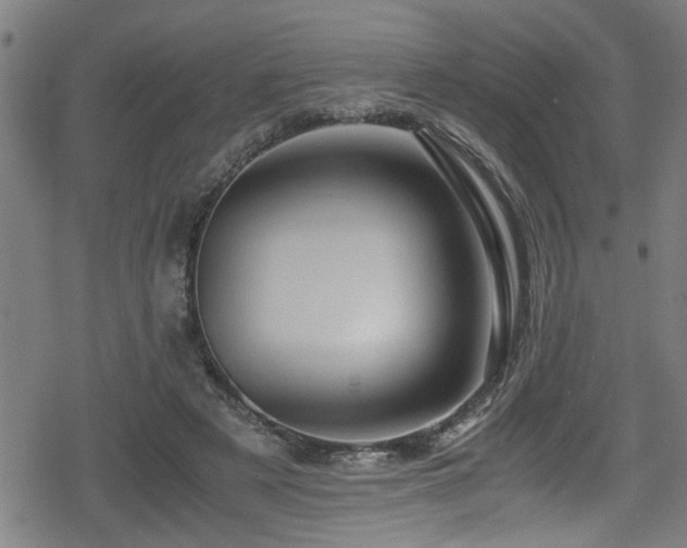 X0000078860497200611131206