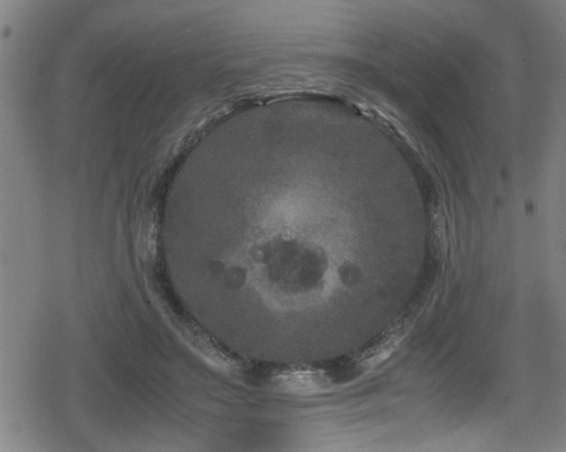 X0000078860499200611131206