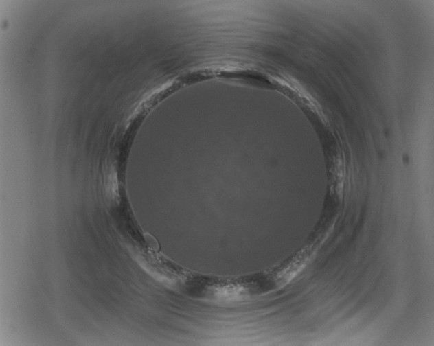 X0000078860500200611131206