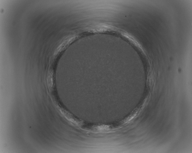 X0000078860501200611131206