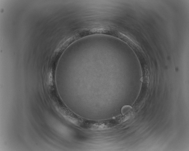 X0000078860502200611131206