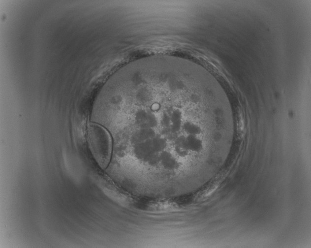 X0000078860503200611131206