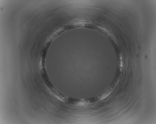 X0000078860504200611131206