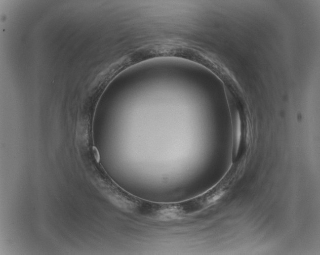 X0000078860505200611131206