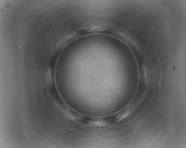 X0000078860506200611131206