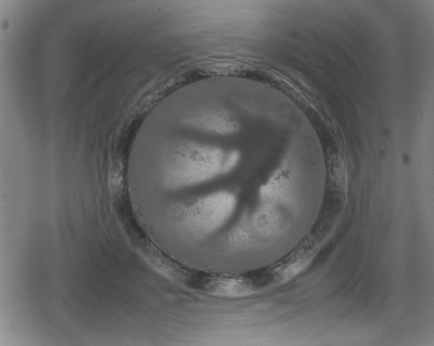 X0000078860507200611131206