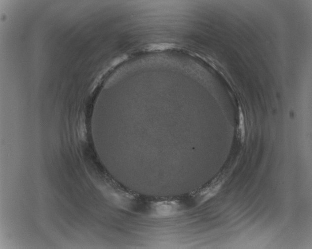 X0000078860508200611131206