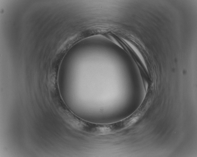 X0000078860509200611131206