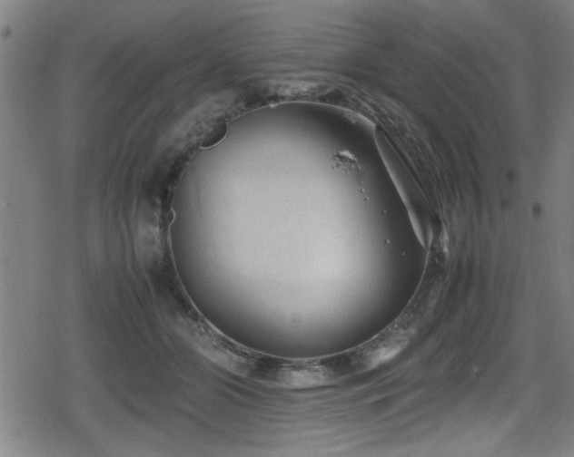 X0000078860510200611131206