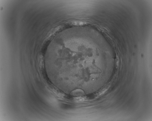 X0000078860511200611131206