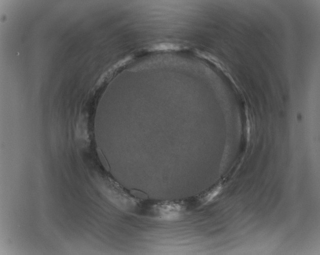 X0000078860512200611131206