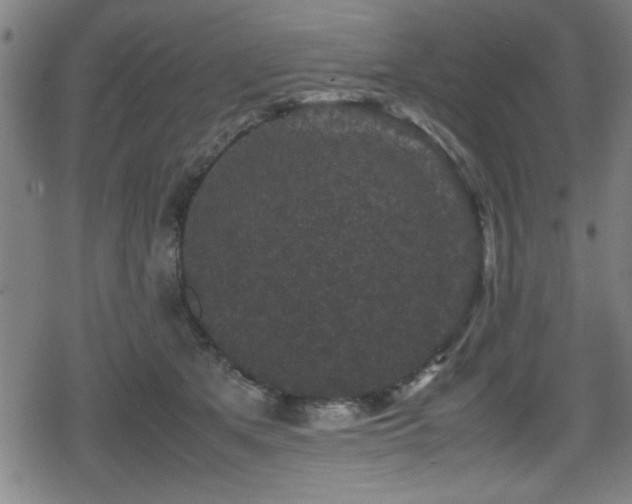 X0000078860513200611131206