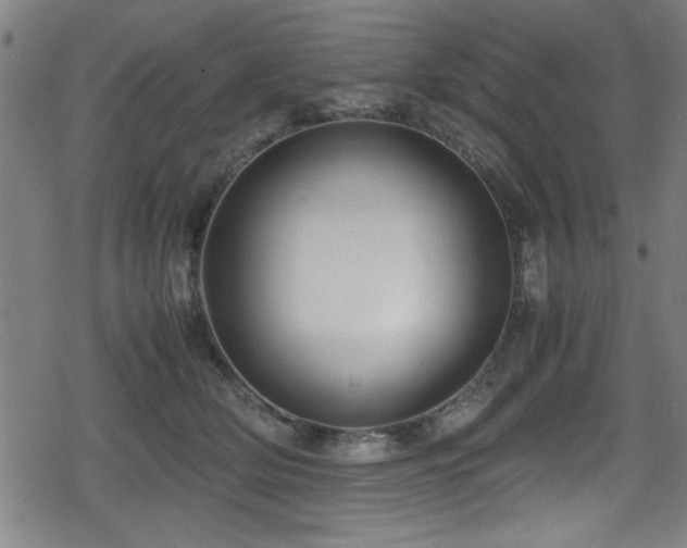 X0000078860514200611131206