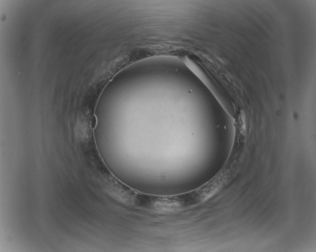 X0000078860515200611131206