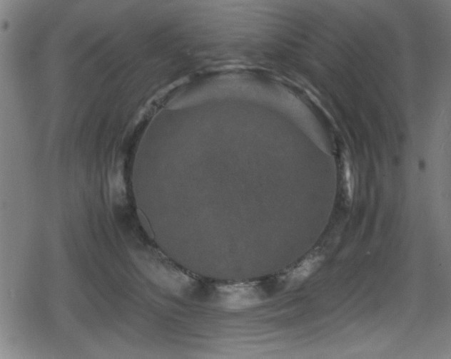 X0000078860516200611131206