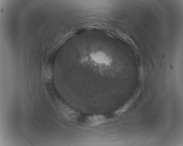 X0000078860517200611131206