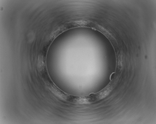 X0000078860518200611131206