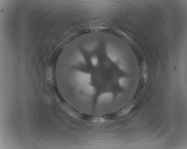 X0000078860519200611131206