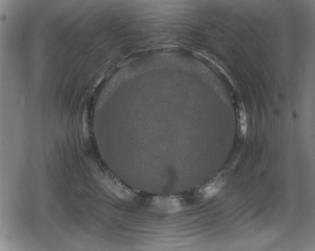 X0000078860520200611131206