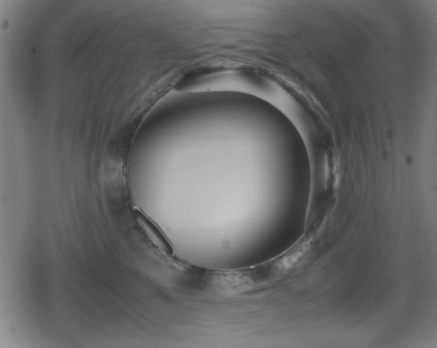 X0000078860521200611131206