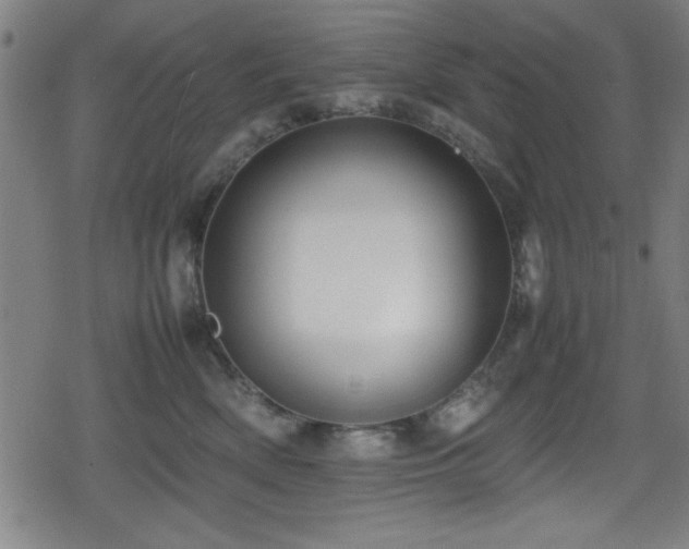 X0000078860522200611131206