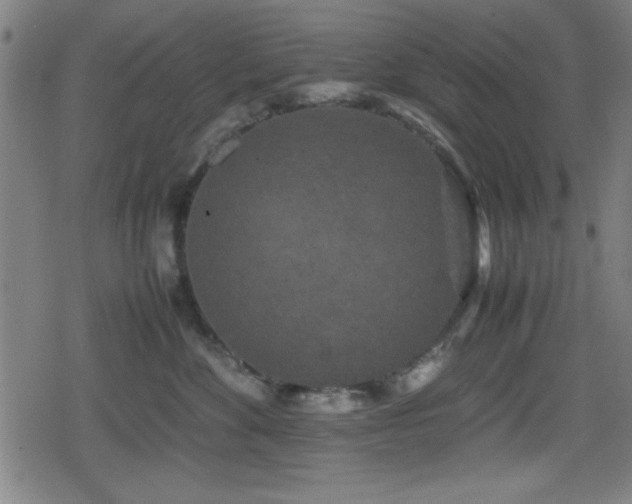 X0000078860524200611131206