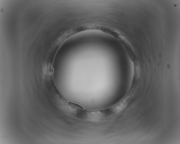 X0000078860525200611131206