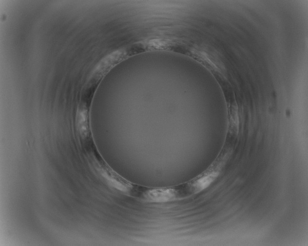 X0000078860526200611131206