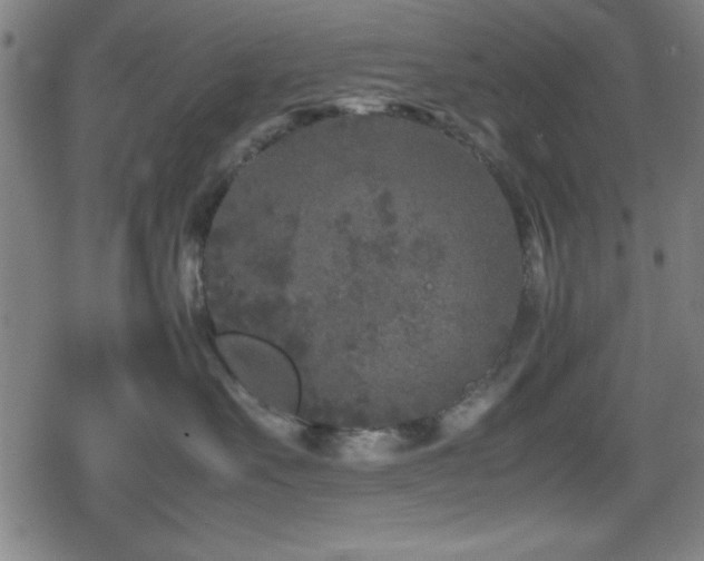 X0000078860527200611131206