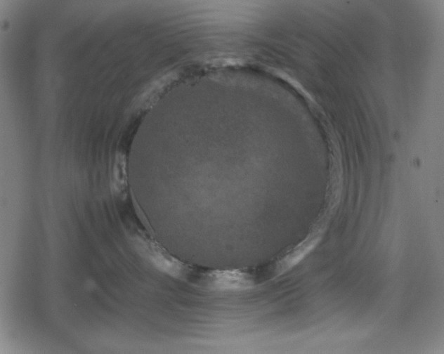 X0000078860528200611131206