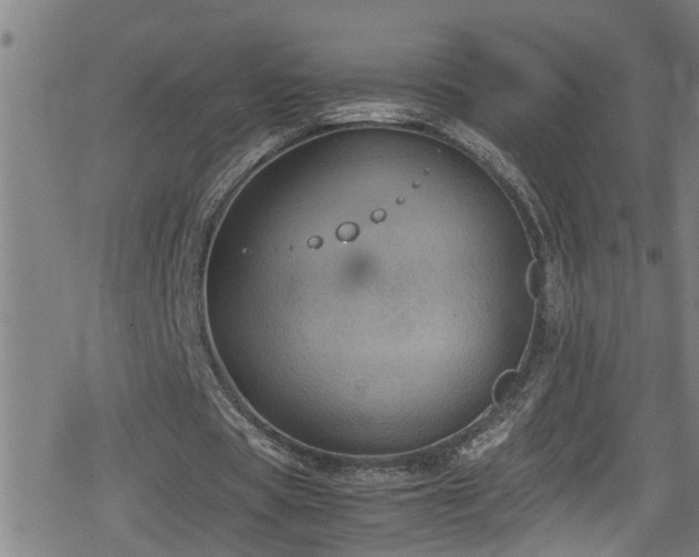 X0000078860529200611131205