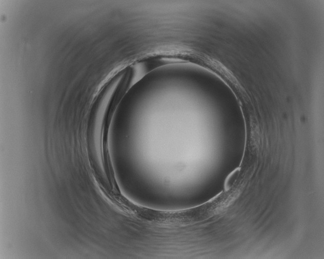 X0000078860530200611131205